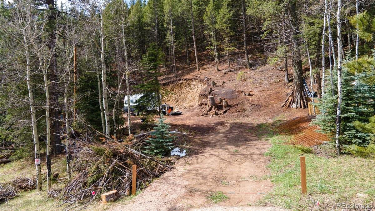 1521 Witter Gulch Road Evergreen, CO 80439 - Photo 8 of 20 a view of a yard with plants and trees