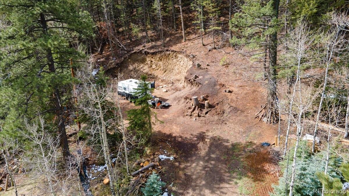 1521 Witter Gulch Road Evergreen, CO 80439 - Photo 9 of 20 a view of tree