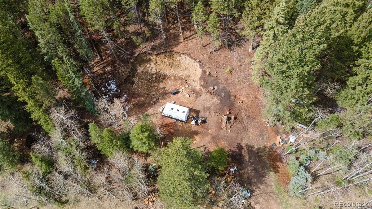 1521 Witter Gulch Road Evergreen, CO 80439 - Photo 10 of 20 a backyard of a house with lots of green space
