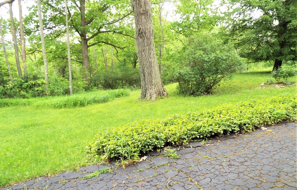 138 Winters Road Barton, NY 13734 - Photo 32 of 33 Gallery Image 32