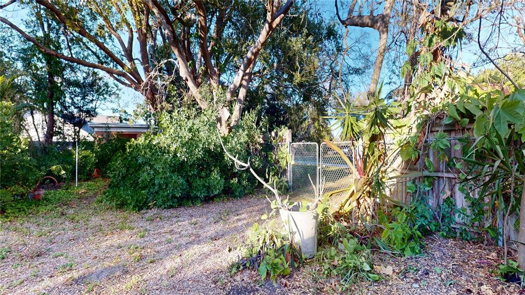 1546 Belleair Road Clearwater, FL 33756 - Photo 46 of 48