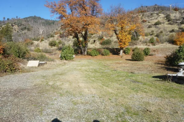 a row of trees with mountain view
