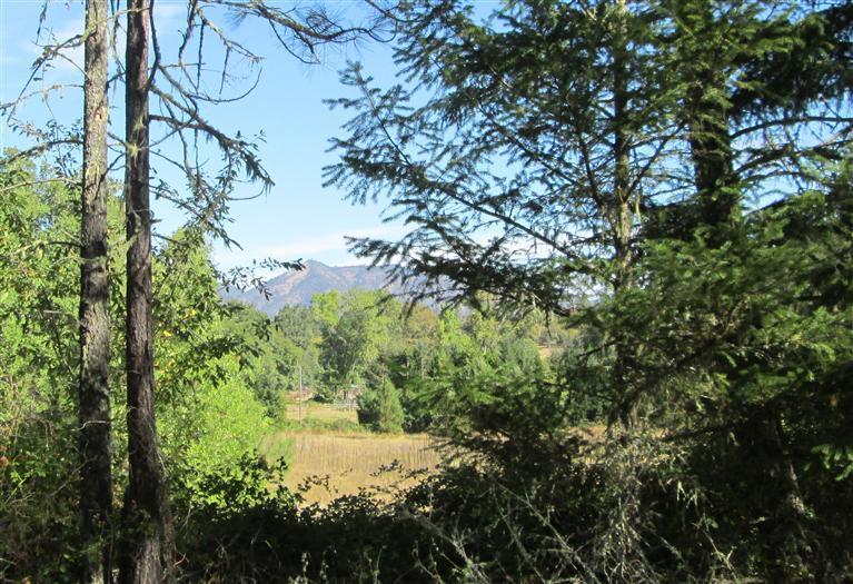 4477 Thompson Creek Road Jacksonville, OR 97530 - Photo 1 of 13 Primary Photo