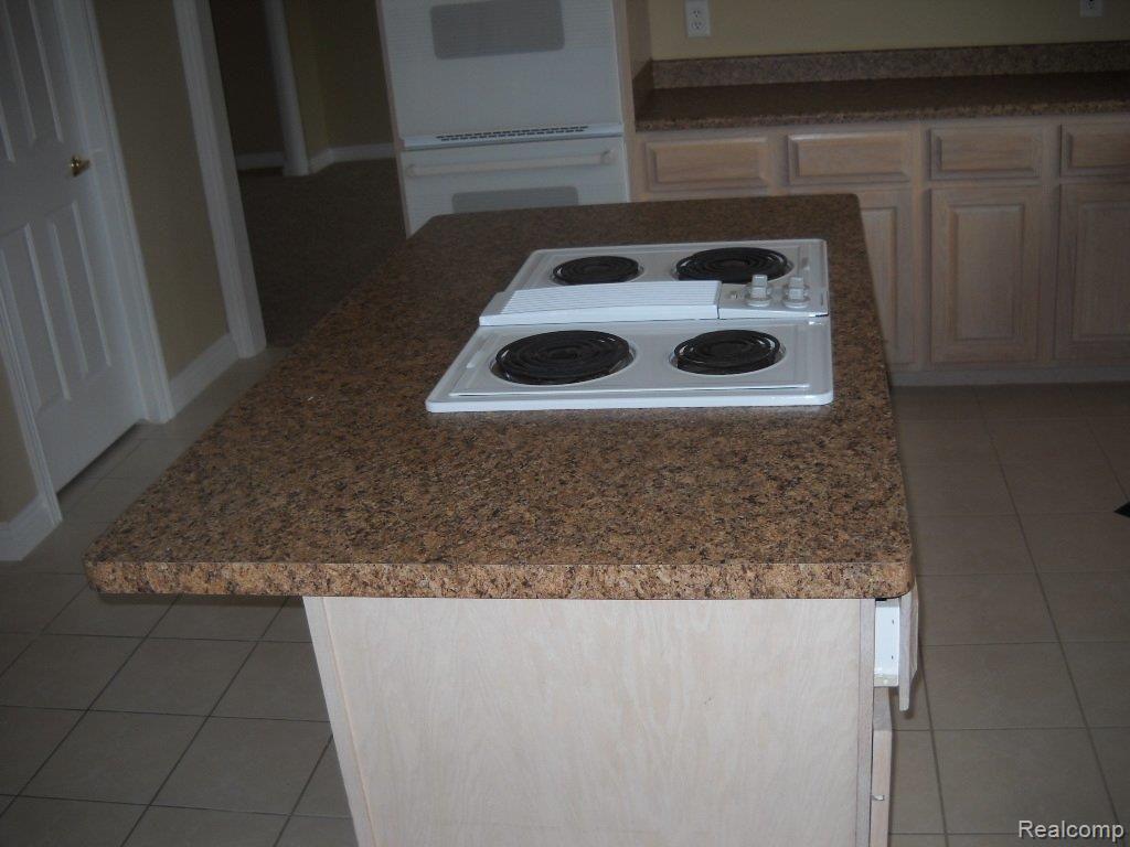 3136 Hedgewood Lane Rochester, MI 48309 - Photo 4 of 6 11-16-10 Fred 129