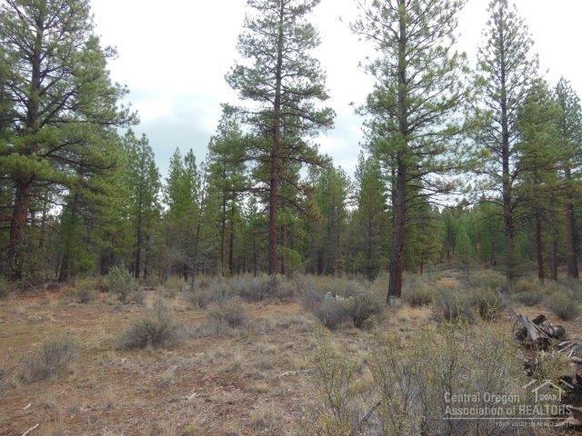 17785 Wilt Road Sisters, OR 97759 - Photo 5 of 25 a view of a forest with trees in the background