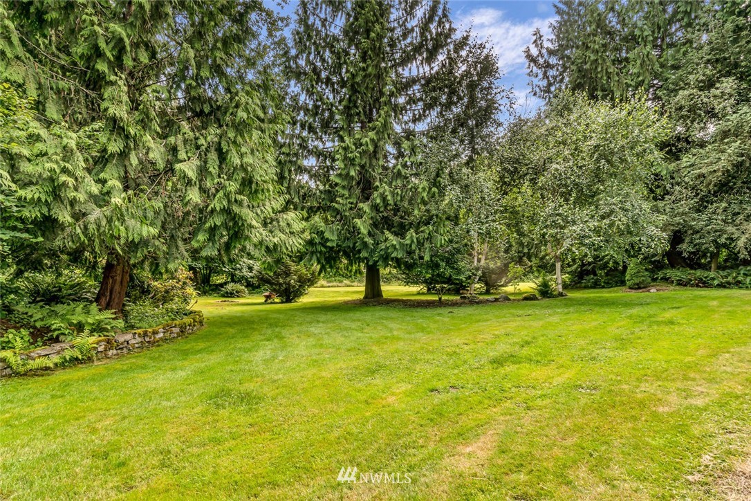 9513 Tveit Road Arlington, WA 98223 - Photo 36 of 40 a view of a large trees with an outdoor space