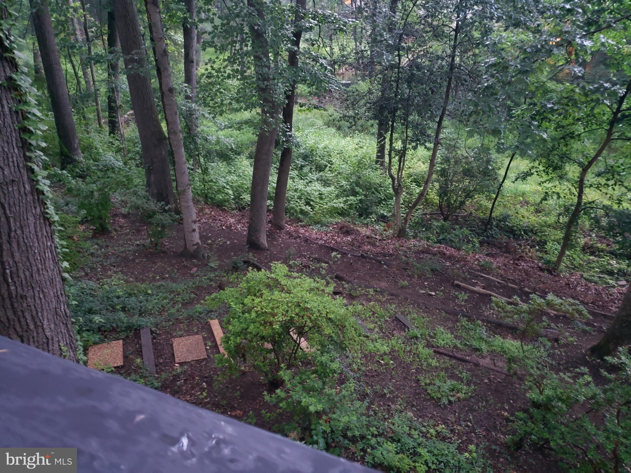 1329 Buttermilk Lane Reston, VA 20190 - Photo 71 of 78