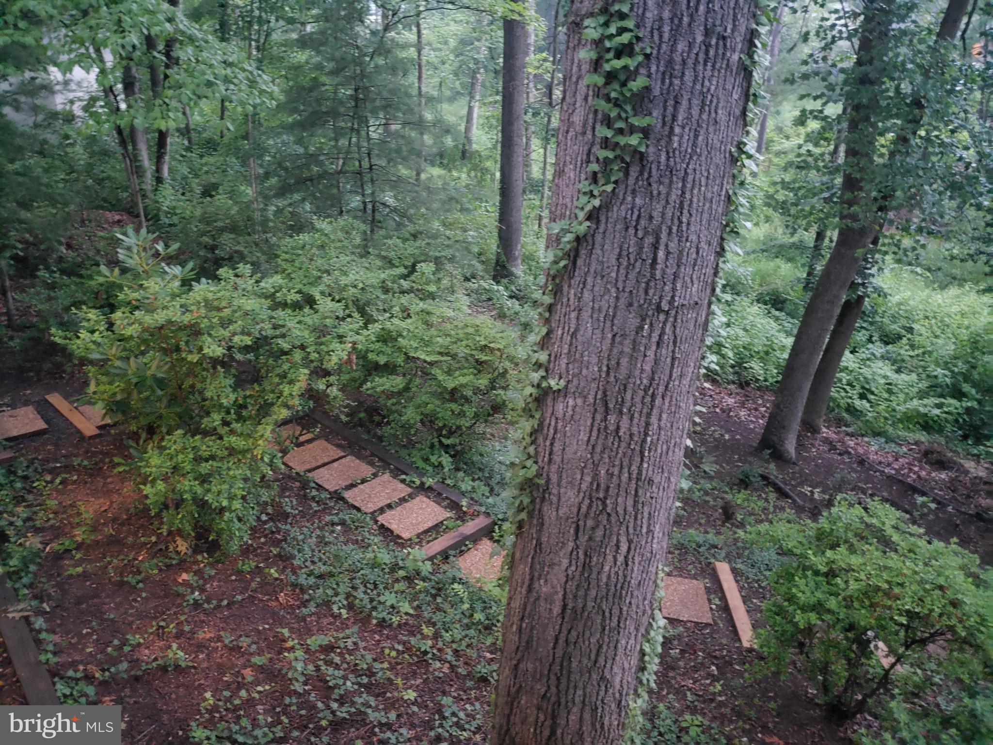 1329 Buttermilk Lane Reston, VA 20190 - Photo 72 of 78