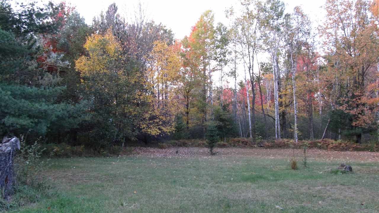 5200 Turtle Road Turner, MI 48765 - Photo 15 of 17 1870889-15.JPG