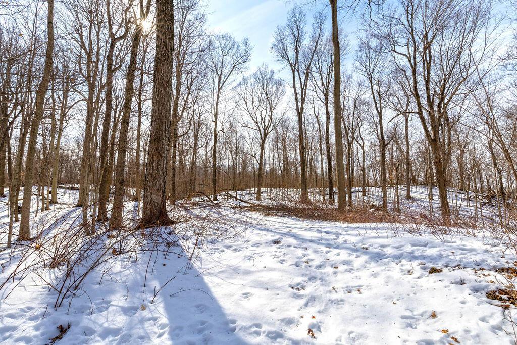 0 Eaglenest Road West Liberty, OH 43357 - Photo 6 of 45