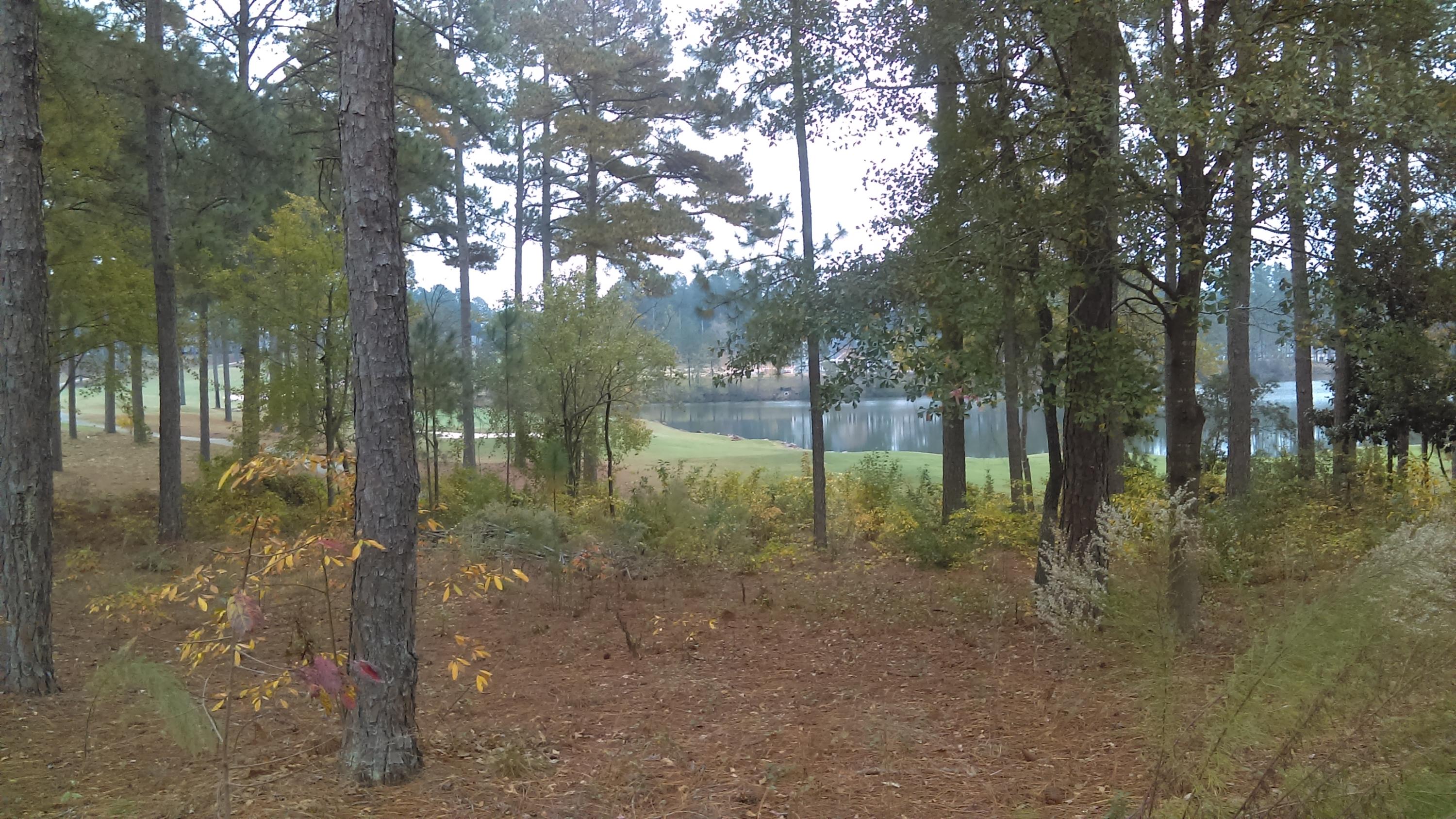 28 Masters Ridge Place Southern Pines, NC 28387 - Photo 3 of 9 IMAG1418