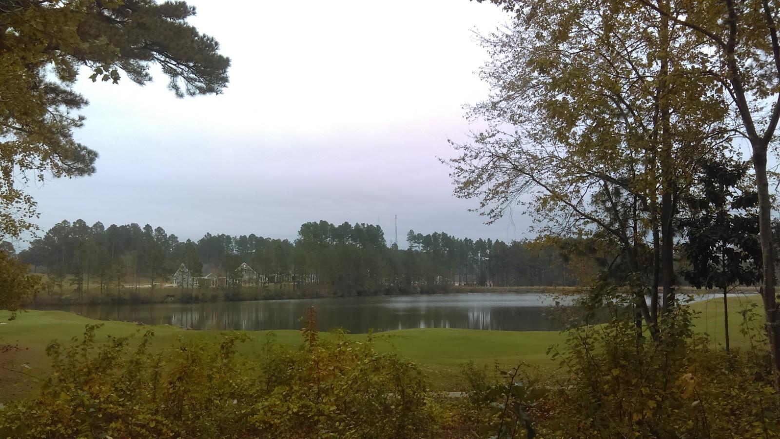 28 Masters Ridge Place Southern Pines, NC 28387 - Photo 4 of 9 IMAG1423