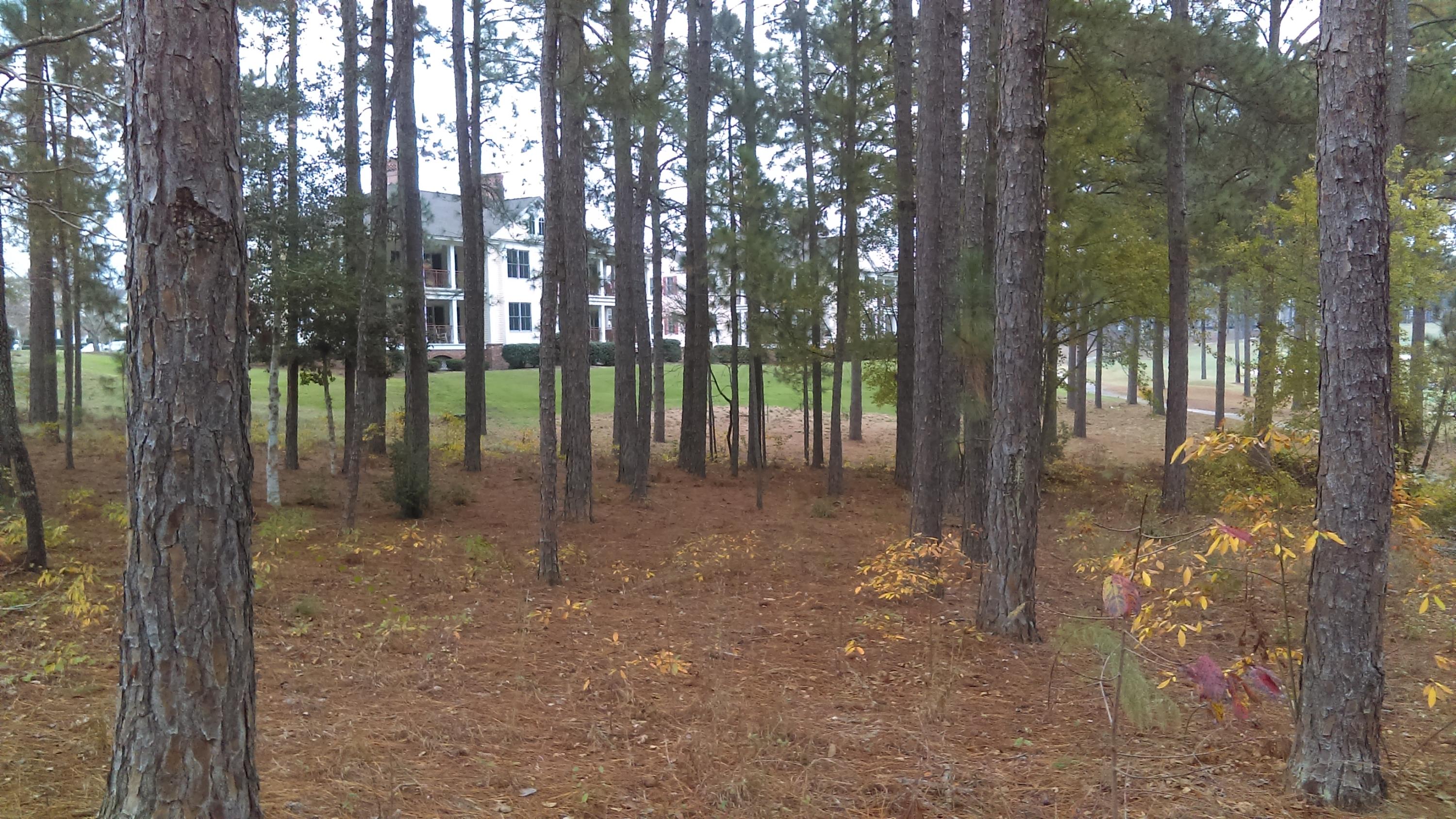 28 Masters Ridge Place Southern Pines, NC 28387 - Photo 5 of 9 IMAG1419
