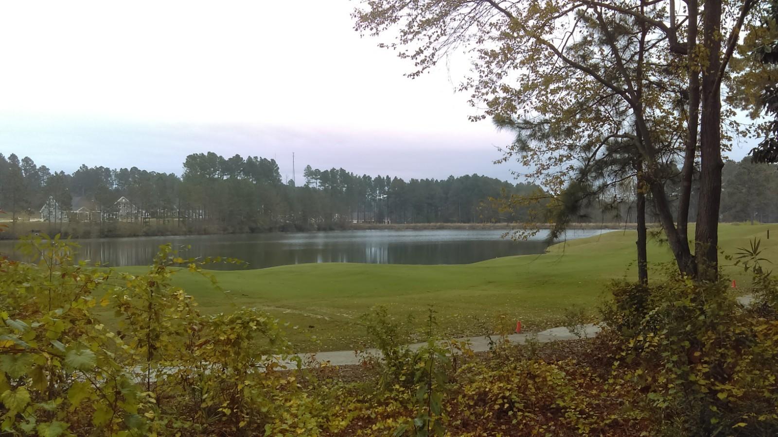 28 Masters Ridge Place Southern Pines, NC 28387 - Photo 7 of 9 IMAG1424