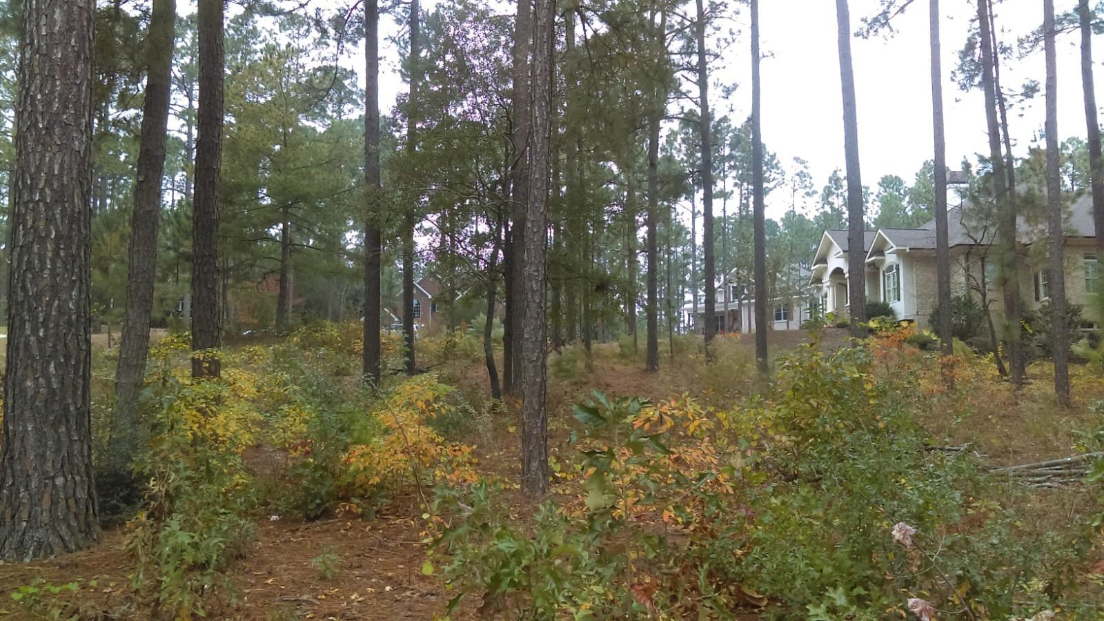 28 Masters Ridge Place Southern Pines, NC 28387 - Photo 8 of 9 IMAG1425