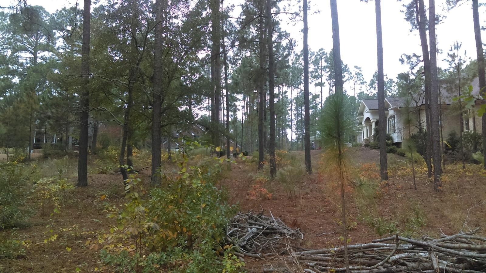 28 Masters Ridge Place Southern Pines, NC 28387 - Photo 9 of 9 IMAG1426