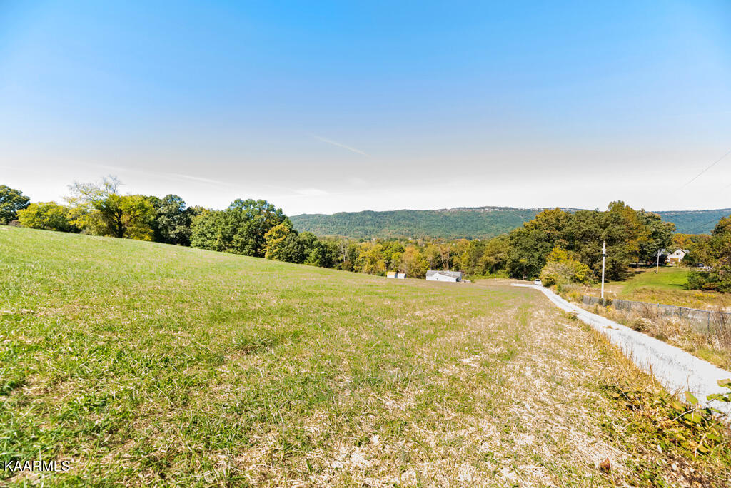 200 Morton Road La Follette, TN 37766 - Photo 19 of 20 Mrtn200 (41)