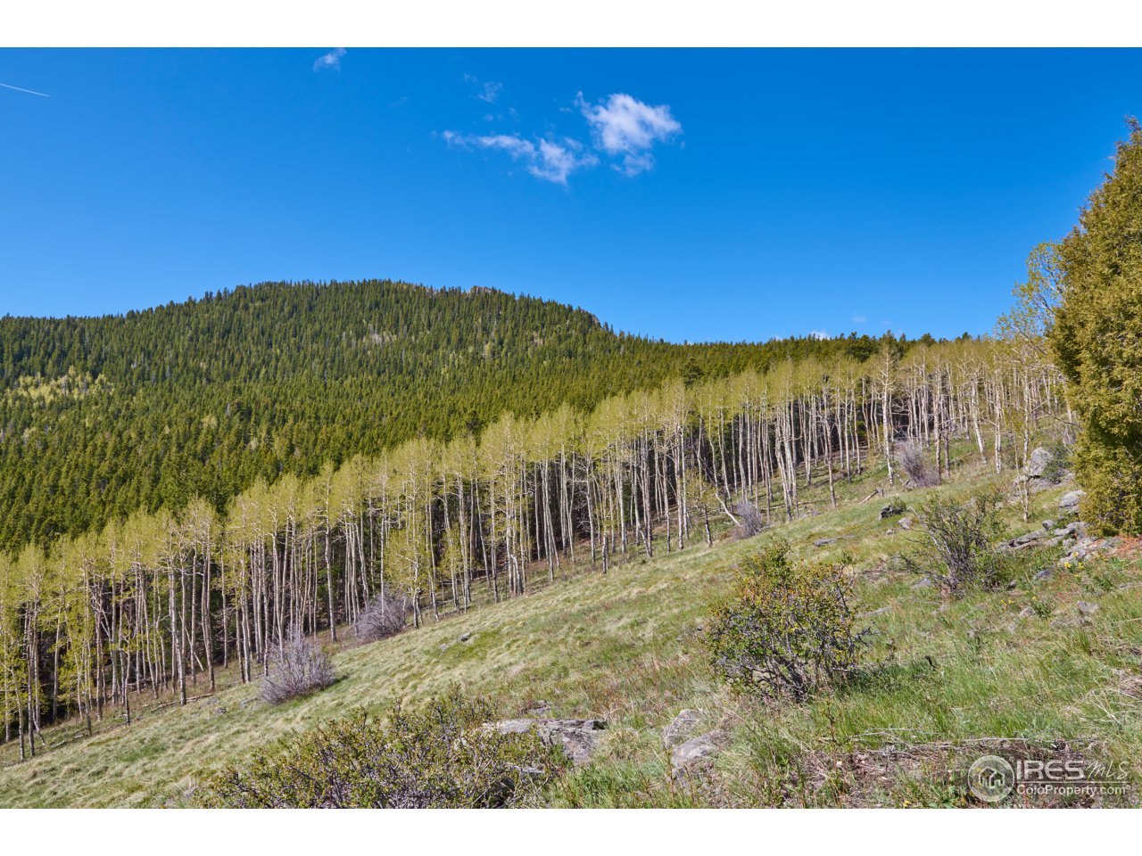 Seldom Seen Road Black Hawk, CO 80422 - Photo 13 of 15 Gallery Image 13
