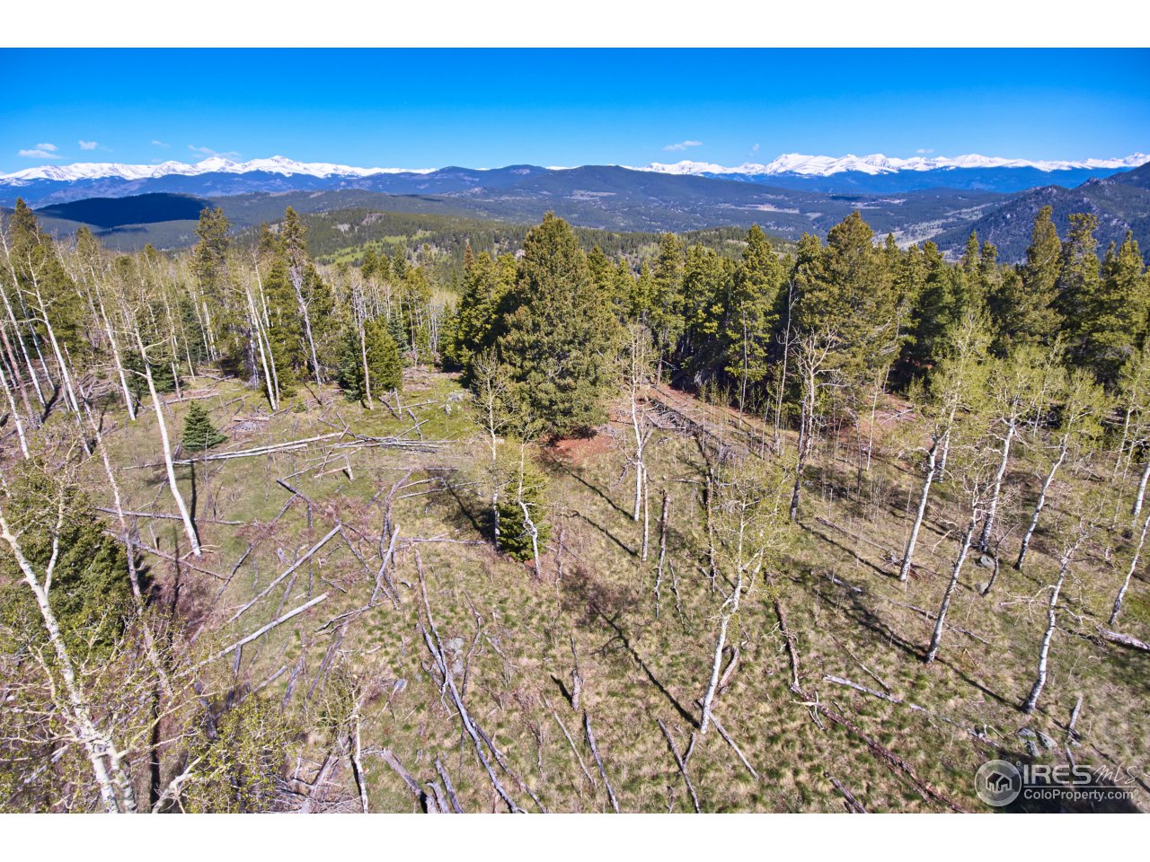 Seldom Seen Road Black Hawk, CO 80422 - Photo 6 of 15 Gallery Image 6