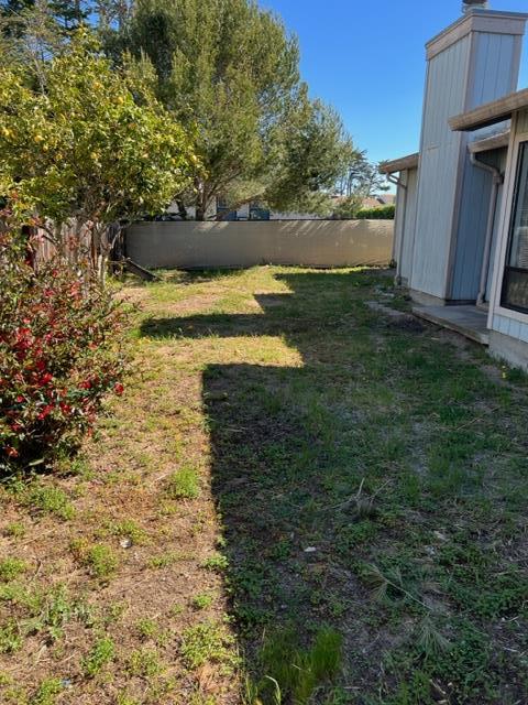 239 Mortimer Lane Marina, CA 93933 - Photo 18 of 87 a view of a yard