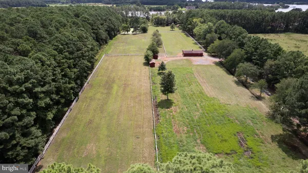 a view of a yard with a yard