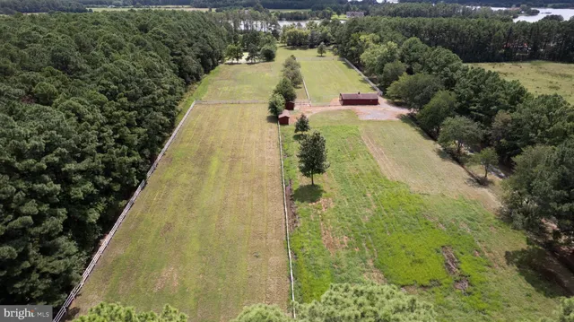 a view of a yard with a yard