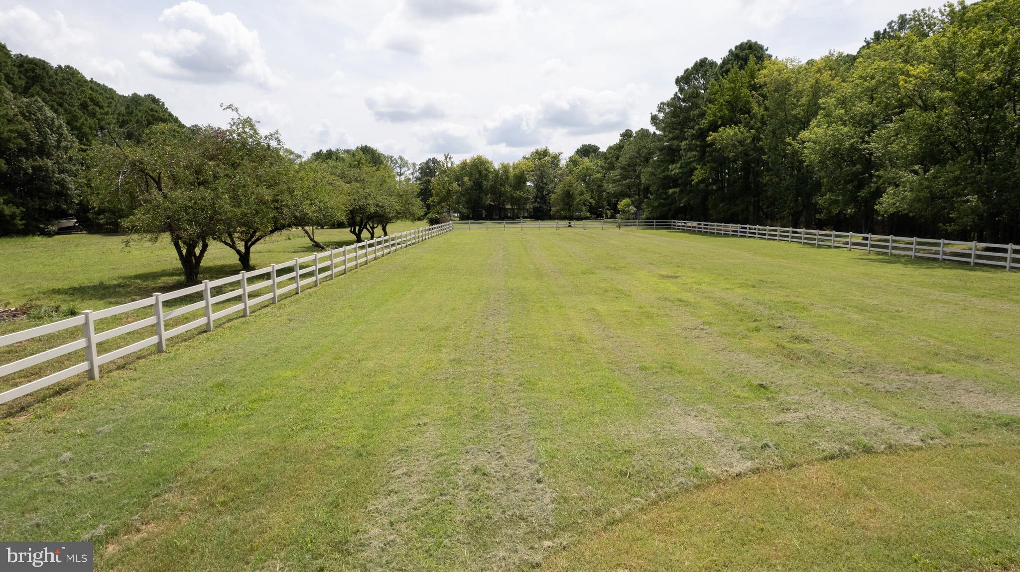 5816 Indian Quarter Road Cambridge, MD 21613 - Photo 41 of 45 a view of a field with trees in the background