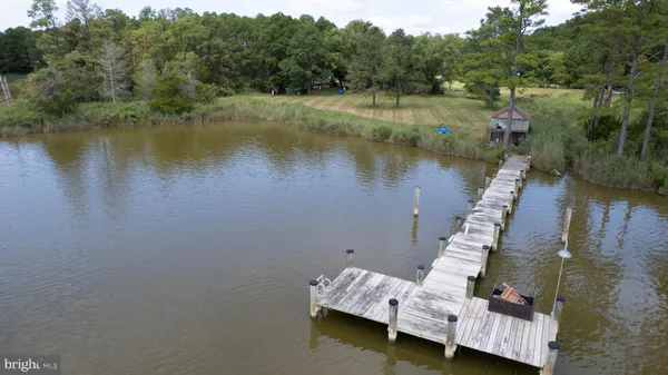 a view of a back yard