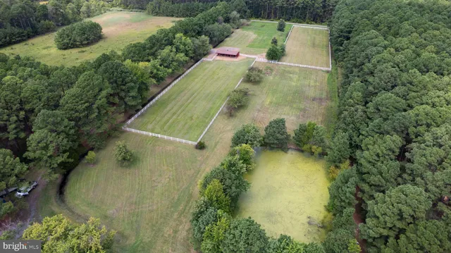 a view of a swimming pool with a yard