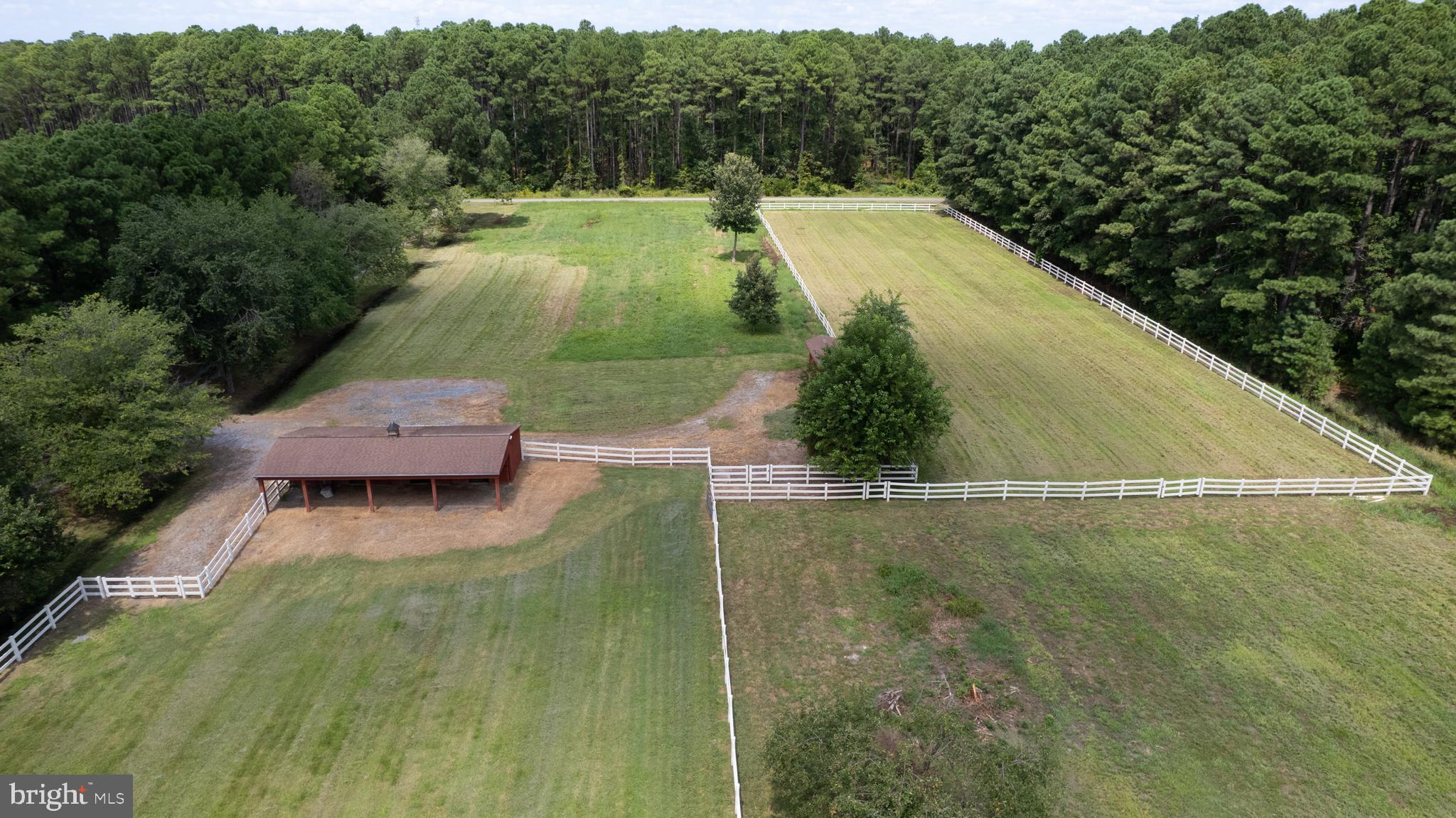 5816 Indian Quarter Road Cambridge, MD 21613 - Photo 10 of 45 a view of a yard with a swimming pool