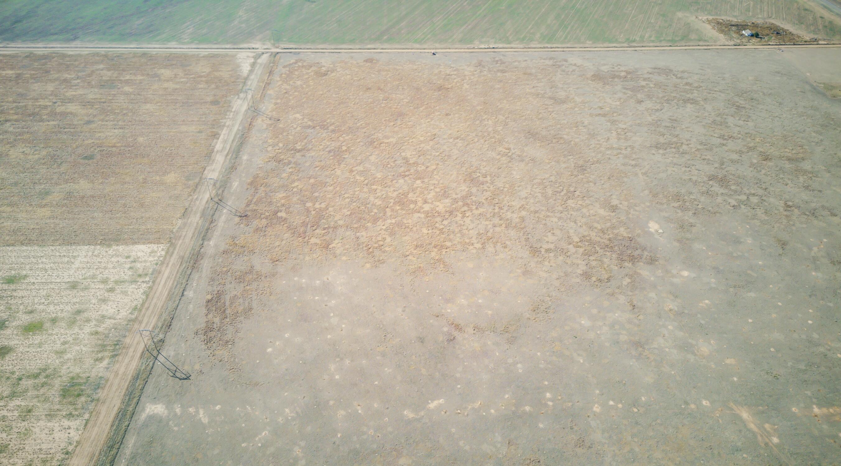 54 / Tract 3 Abernathy, TX 79311 - Photo 13 of 19 a bathroom with a shower curtain