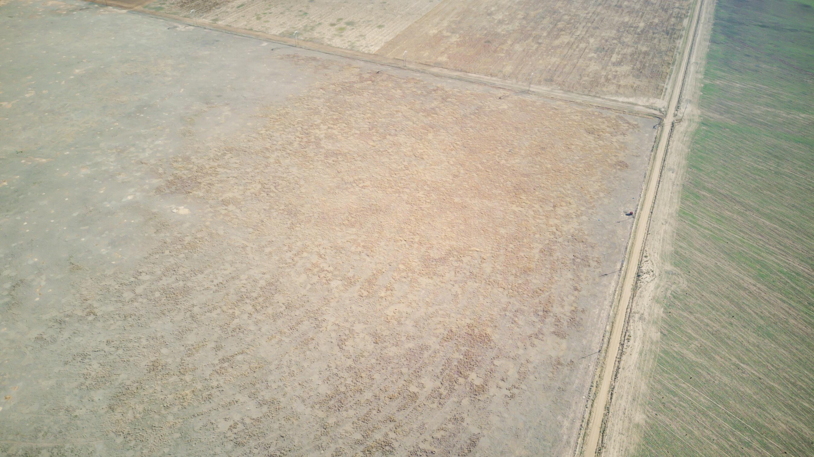 54 / Tract 3 Abernathy, TX 79311 - Photo 15 of 19 a bathroom with a shower