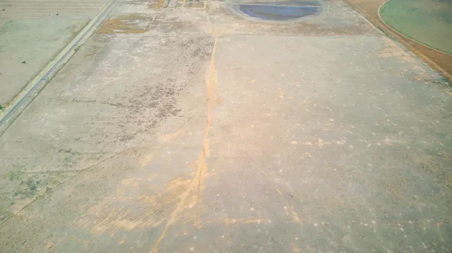 a view of a dry field with trees in the background