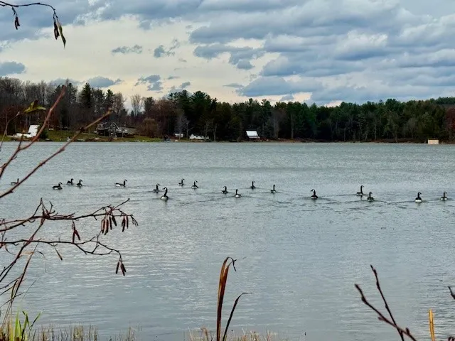 $160,000 | North Pond Road, Guilford, NY 13780