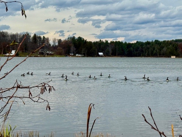 North Pond Road Guilford, NY 13780 - Photo 2 of 9