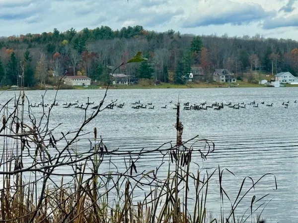 $160,000 | North Pond Road, Guilford, NY 13780