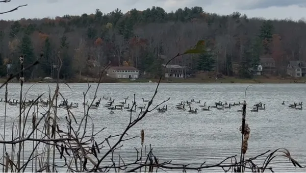 $160,000 | North Pond Road, Guilford, NY 13780