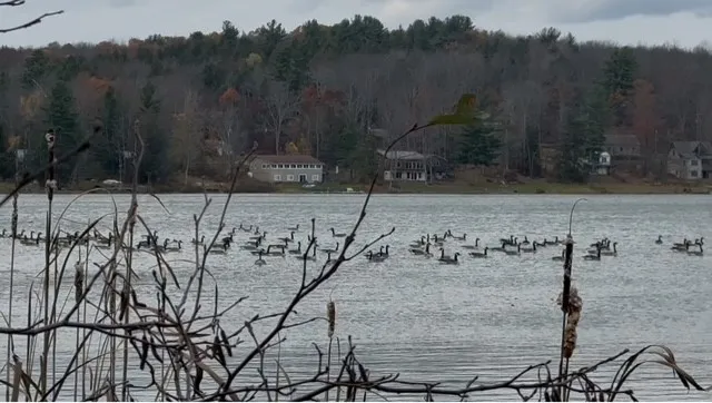 $160,000 | North Pond Road, Guilford, NY 13780