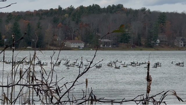 North Pond Road Guilford, NY 13780 - Photo 5 of 9