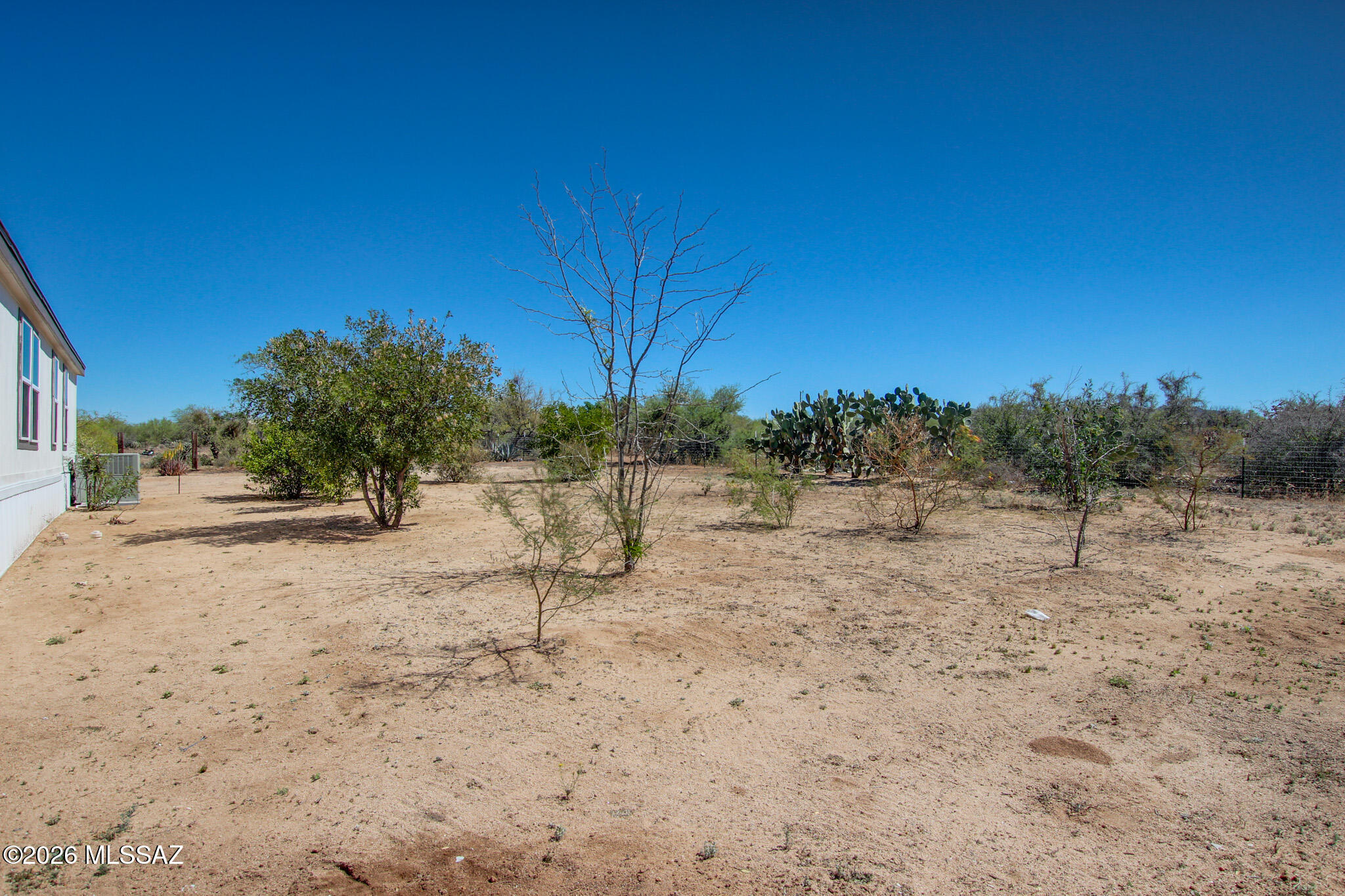 14303 West Rolina Lane Tucson, AZ 85736 - Photo 31 of 38 a view of dirt yard with a tree