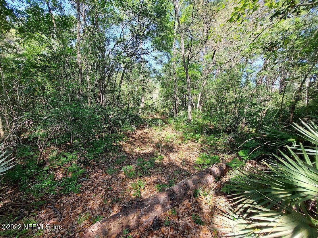 0 Northwest Thunder Road White Springs, FL 32096 - Photo 11 of 44 Langley11