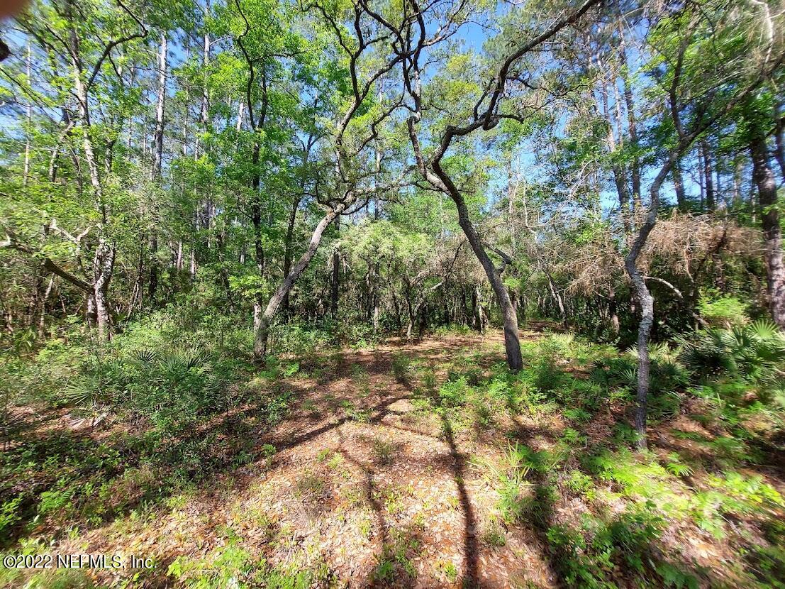 0 Northwest Thunder Road White Springs, FL 32096 - Photo 17 of 44 Langley15