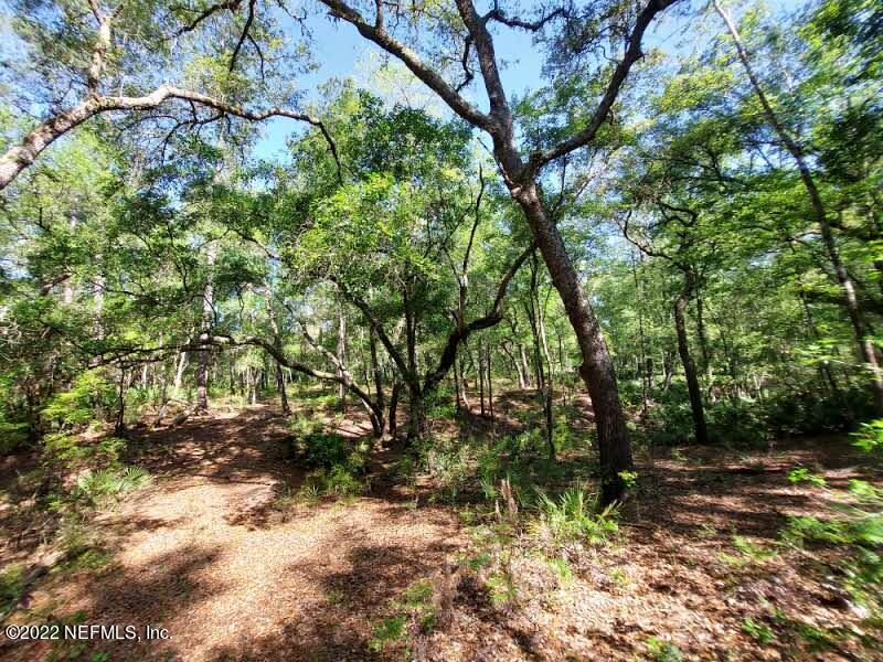 0 Northwest Thunder Road White Springs, FL 32096 - Photo 24 of 44 Langley22