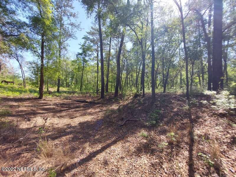 0 Northwest Thunder Road White Springs, FL 32096 - Photo 25 of 44 Langley25