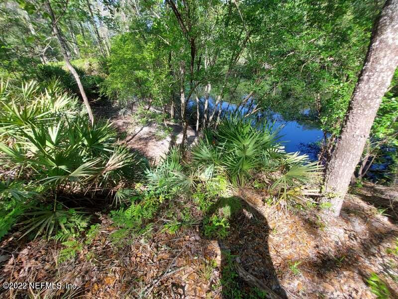 0 Northwest Thunder Road White Springs, FL 32096 - Photo 36 of 44 Langley44WF