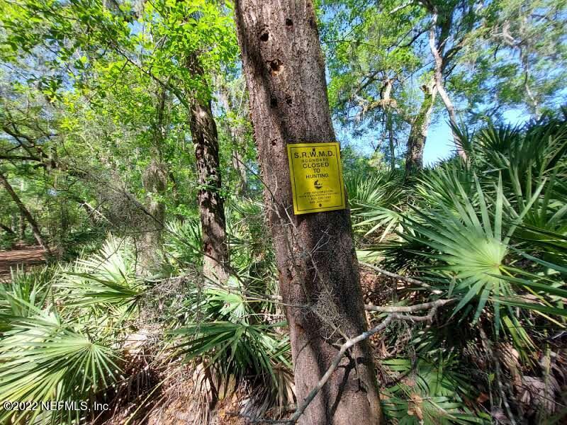 0 Northwest Thunder Road White Springs, FL 32096 - Photo 38 of 44 Langley37