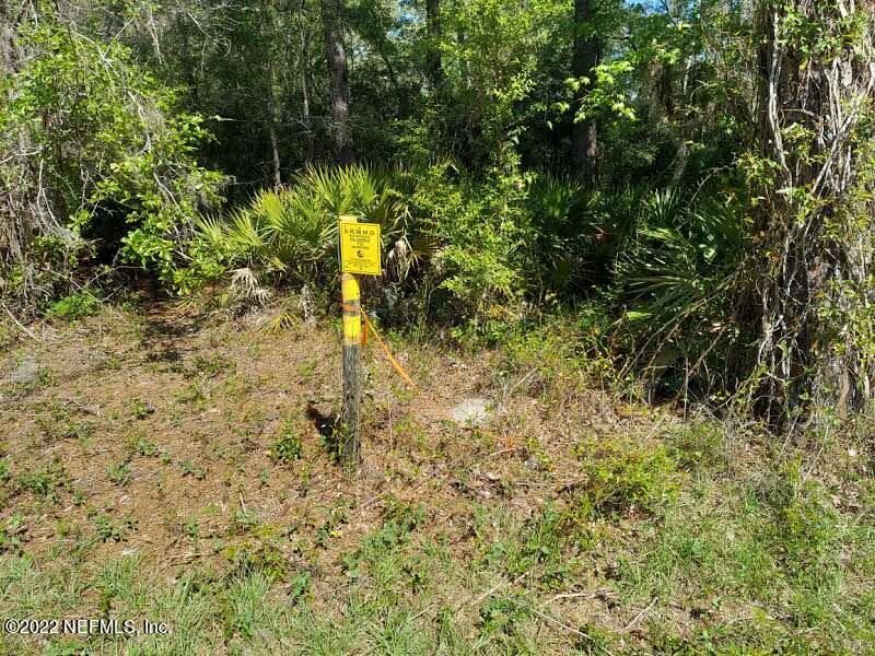 0 Northwest Thunder Road White Springs, FL 32096 - Photo 7 of 44 Langley49