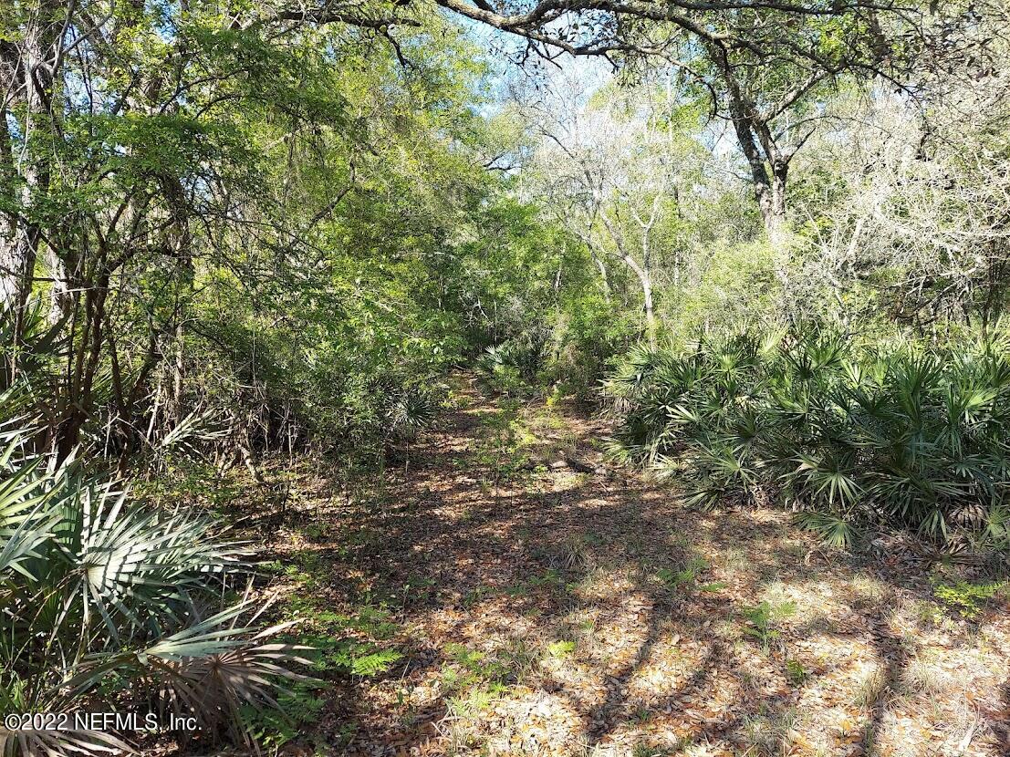0 Northwest Thunder Road White Springs, FL 32096 - Photo 9 of 44 Langley9