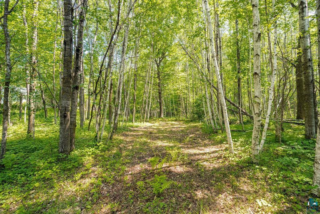 2592 Strandberg Road Barnum, MN 55707 - Photo 2 of 44 Wooded property featuring a natural pathway, mature deciduous trees, and varied undergrowth