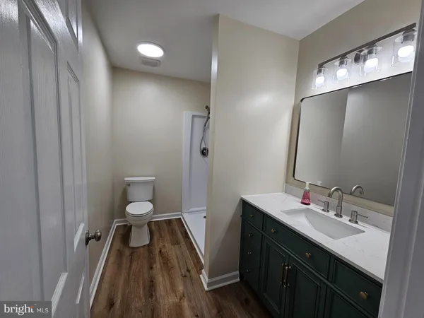 a bathroom with a sink a toilet a light fixture and a mirror